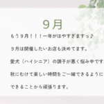 ２０２６年９月
