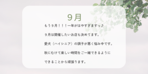 Read more about the article ２０２６年９月